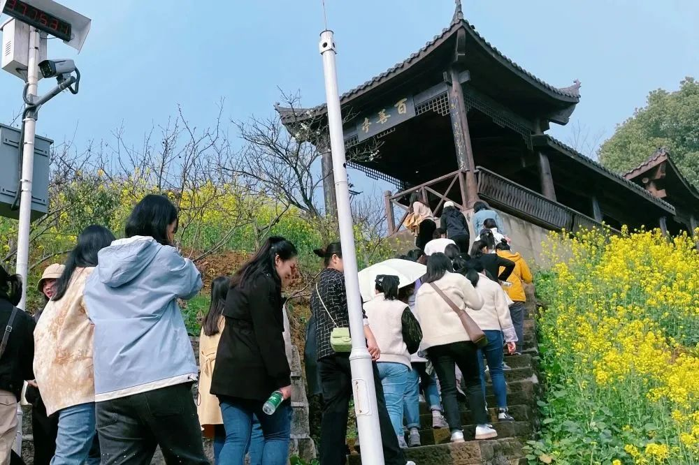 獻(xiàn)禮3.8節(jié)|勇做攀登者，奮進(jìn)新未來