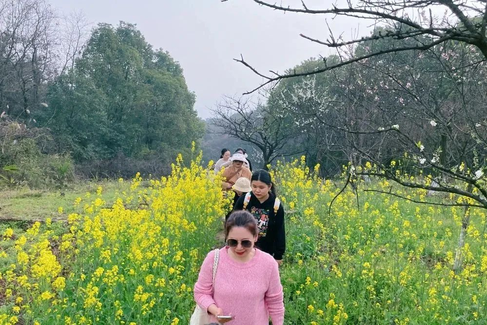 獻(xiàn)禮3.8節(jié)|勇做攀登者，奮進(jìn)新未來