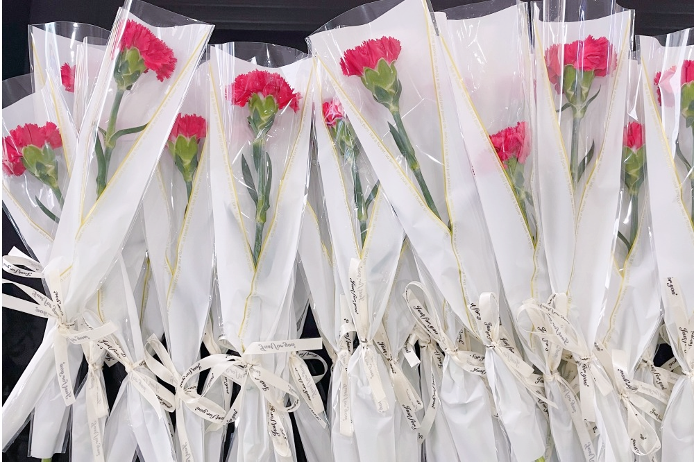 獻(xiàn)禮3.8節(jié)|勇做攀登者，奮進(jìn)新未來